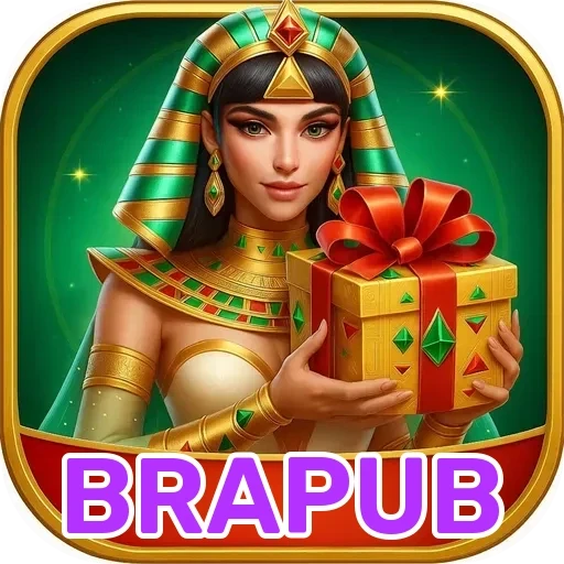 BRAPUB: A Revolução do Login que Você Não Pode Perder